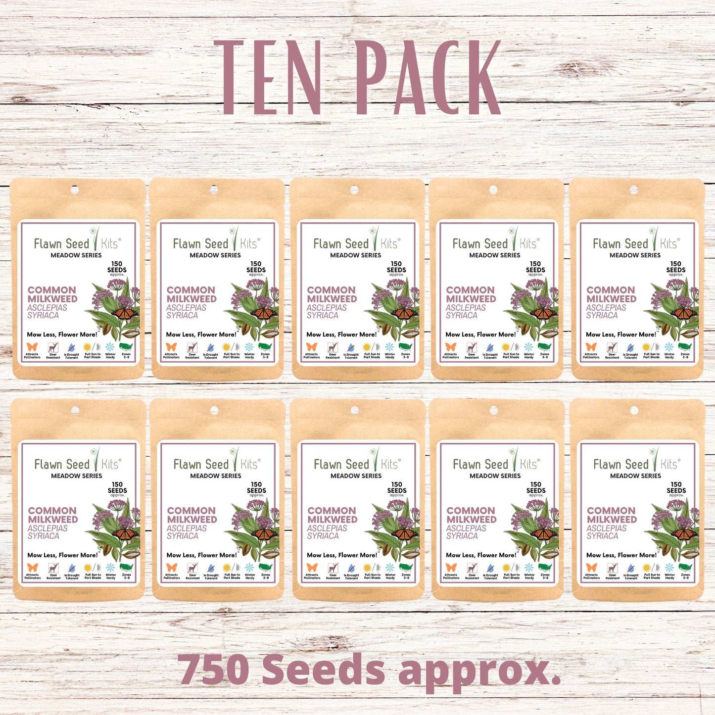 Common Milkweed Seed Pouch