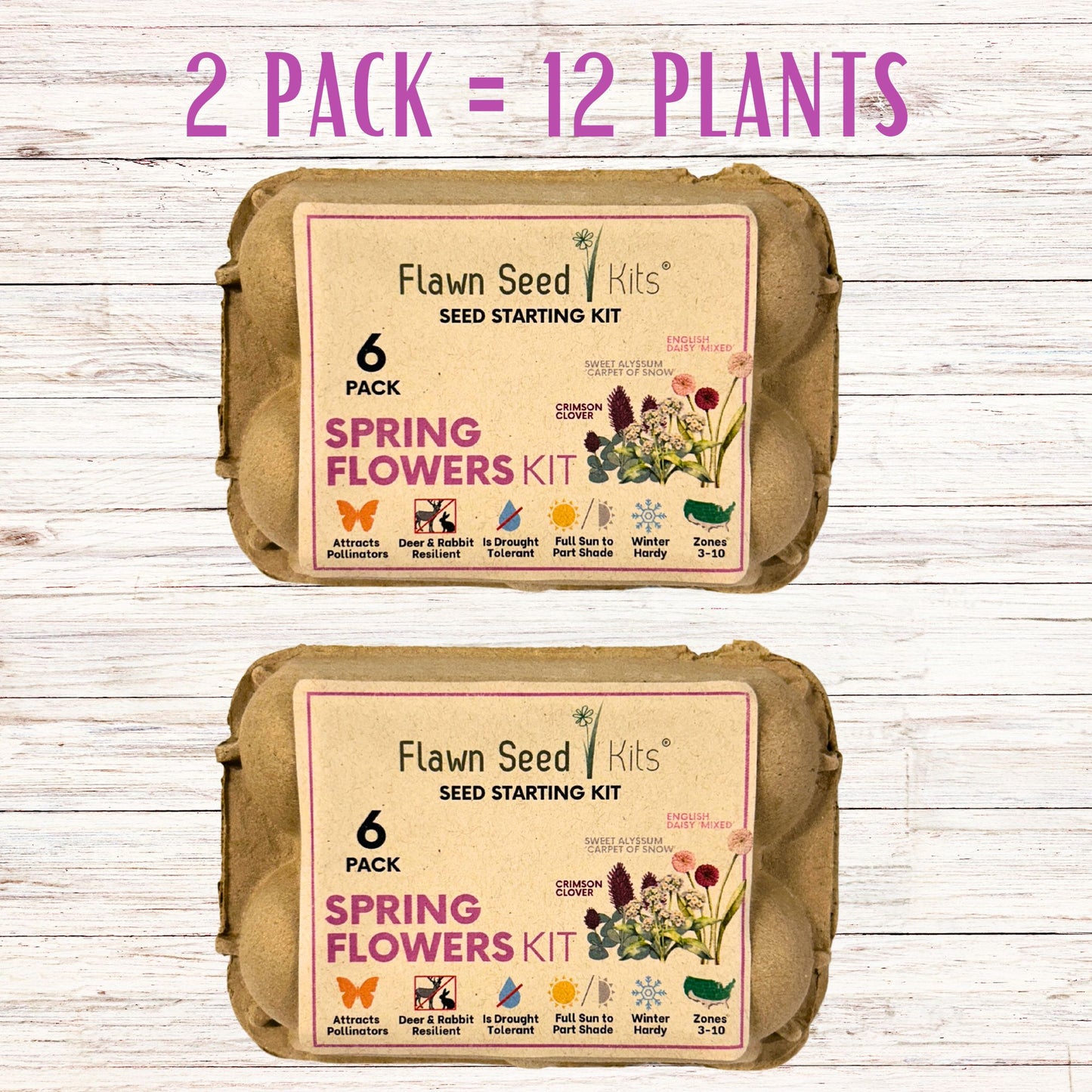 Flowering Spring Seed Mix - Egg Carton Seed Starting Kit