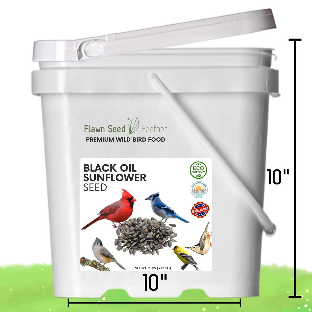 Premium Black Oil Sunflower Wild Bird Seed