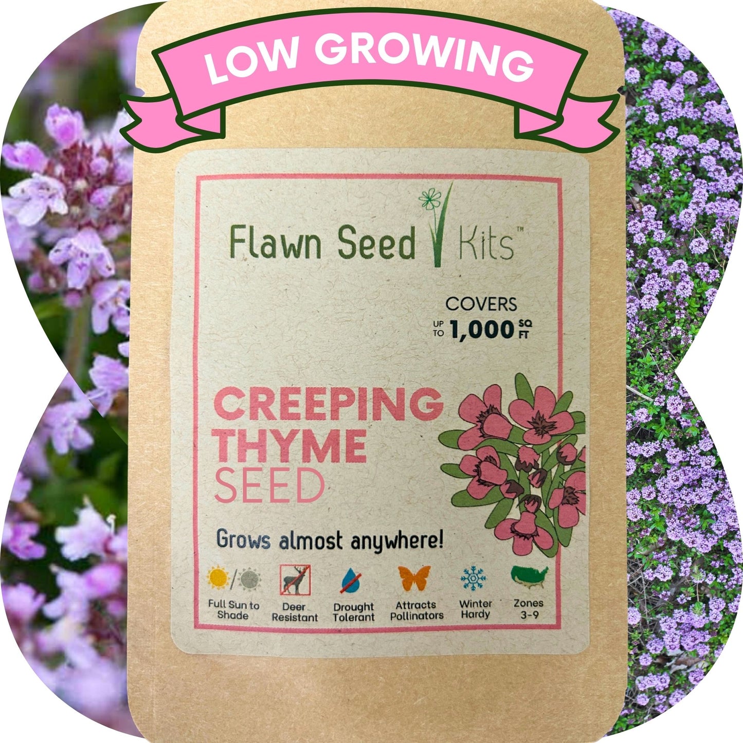 Creeping Thyme Seed Pouch