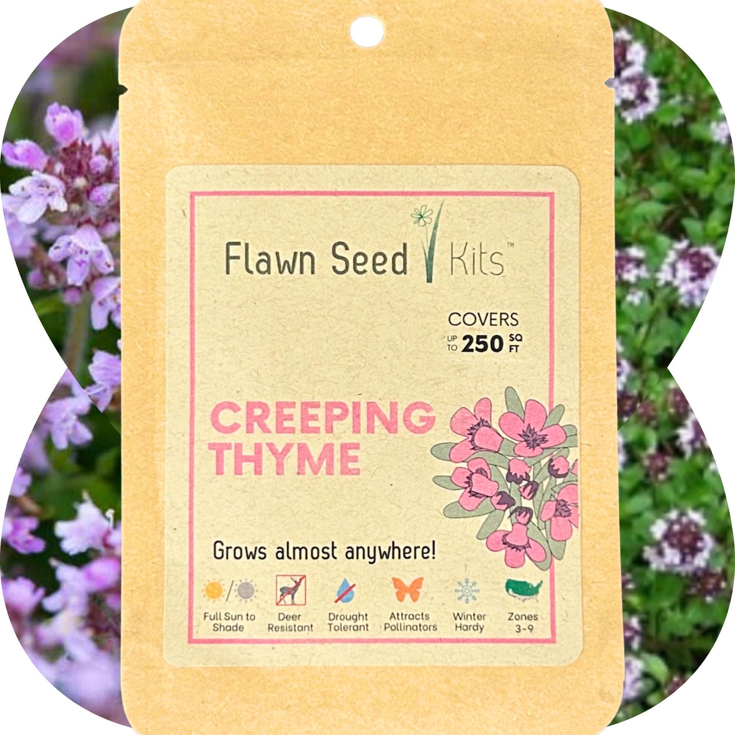 Creeping Thyme Seed Pouch