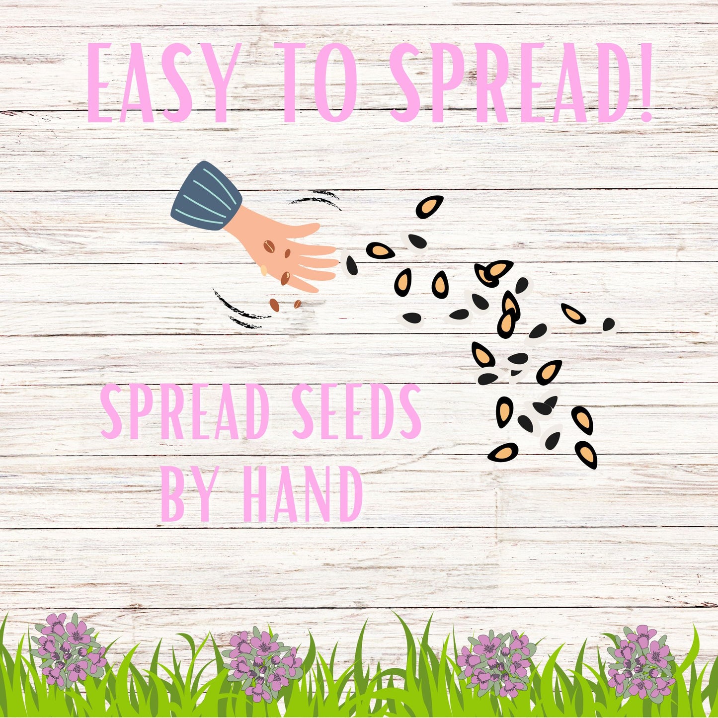 Creeping Thyme Seed Pouch