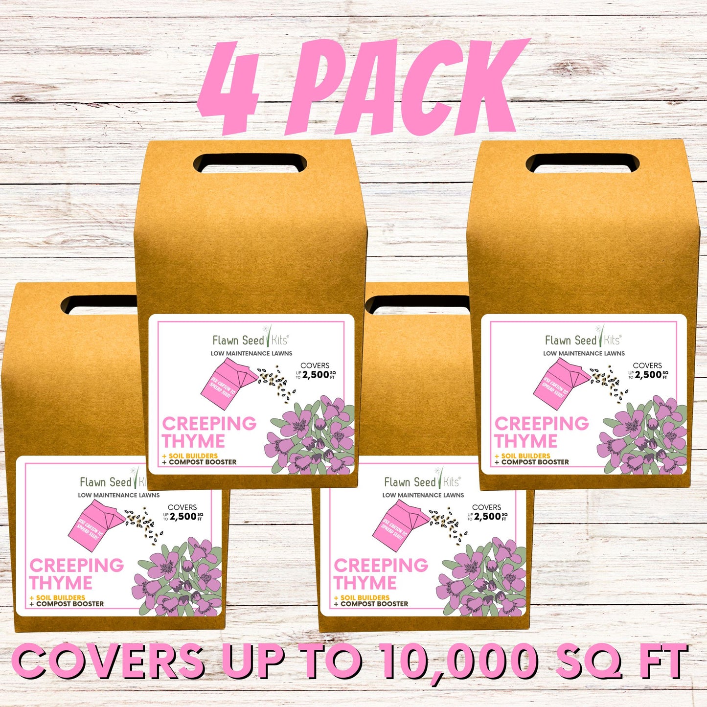 Creeping Thyme Eco-Friendly Seeding Kit