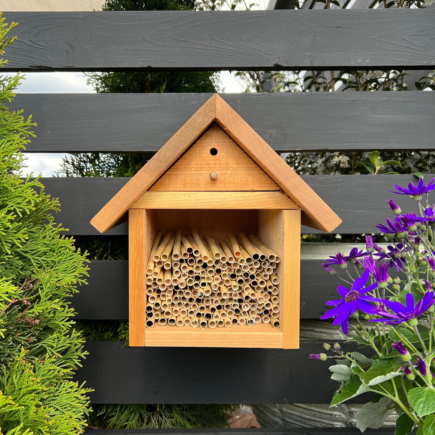 Natural Reeds for Leafcutter Bees, 6mm