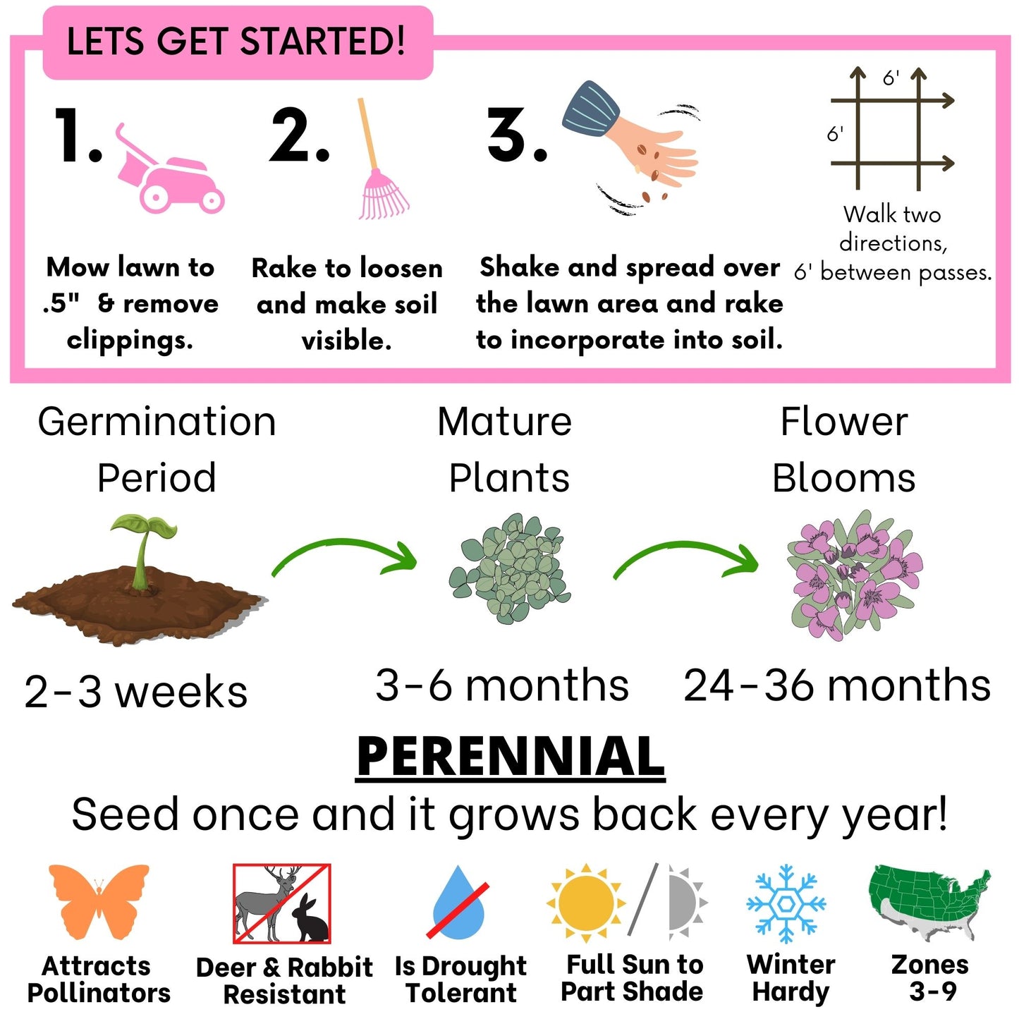 Creeping Thyme Seed Pouch