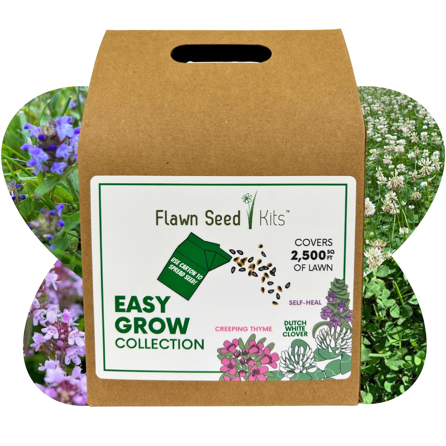 Bee Lawn Flowering Pollinator Seed Kit, Dutch White Clover Blooms, Self-Heal Blooms, Creeping Thyme Blooms, Easy Spread Eco-Friendly Container