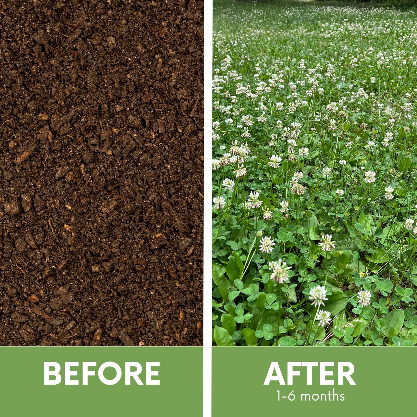 Dutch White Clover + Mow Less Grass Seed Spreader Bundle