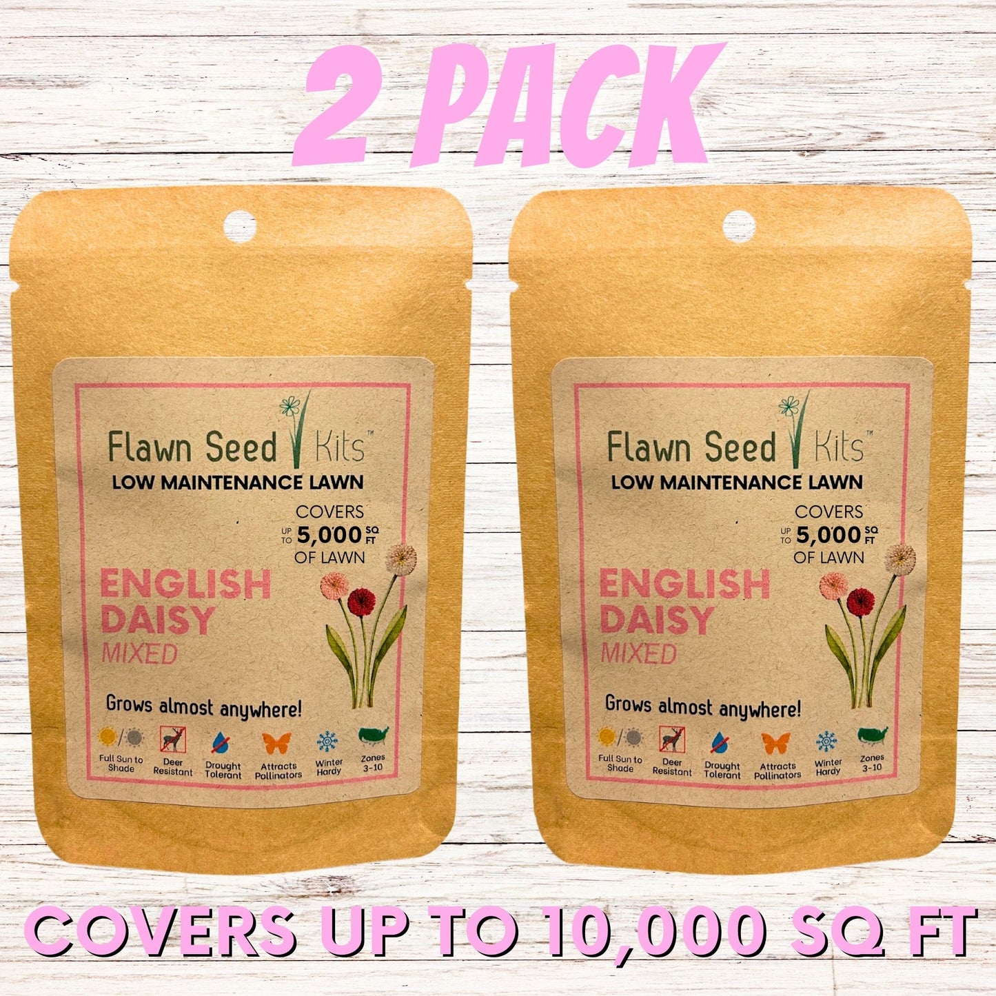English Daisy 'Mixed' Seed Pouch