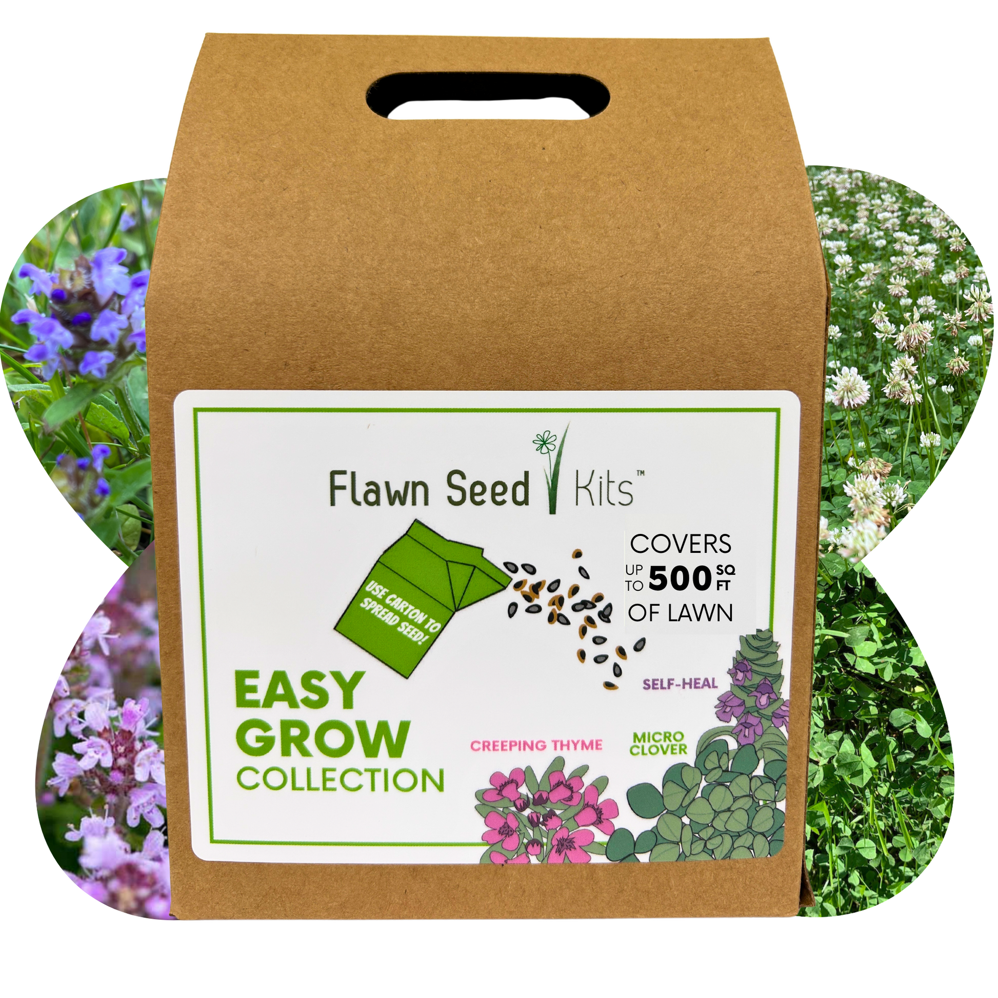 Micro Bee Lawn Flowering Pollinator Seed Kit, Micro Clover Blooms, Self-Heal Blooms, Creeping Thyme Blooms, Easy Spread Eco-Friendly Container