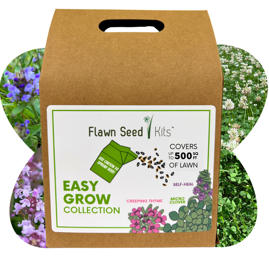 Micro Bee Lawn Flowering Pollinator Seed Kit, Micro Clover Blooms, Self-Heal Blooms, Creeping Thyme Blooms, Easy Spread Eco-Friendly Container