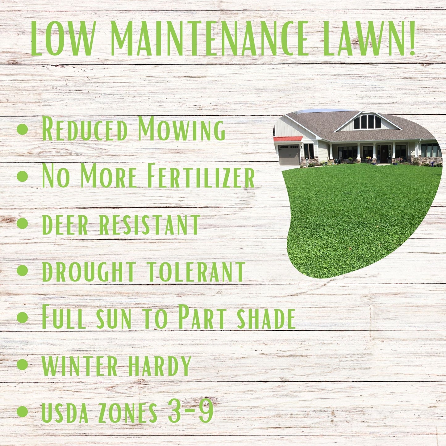 Micro Clover + Mow Less Grass Seed