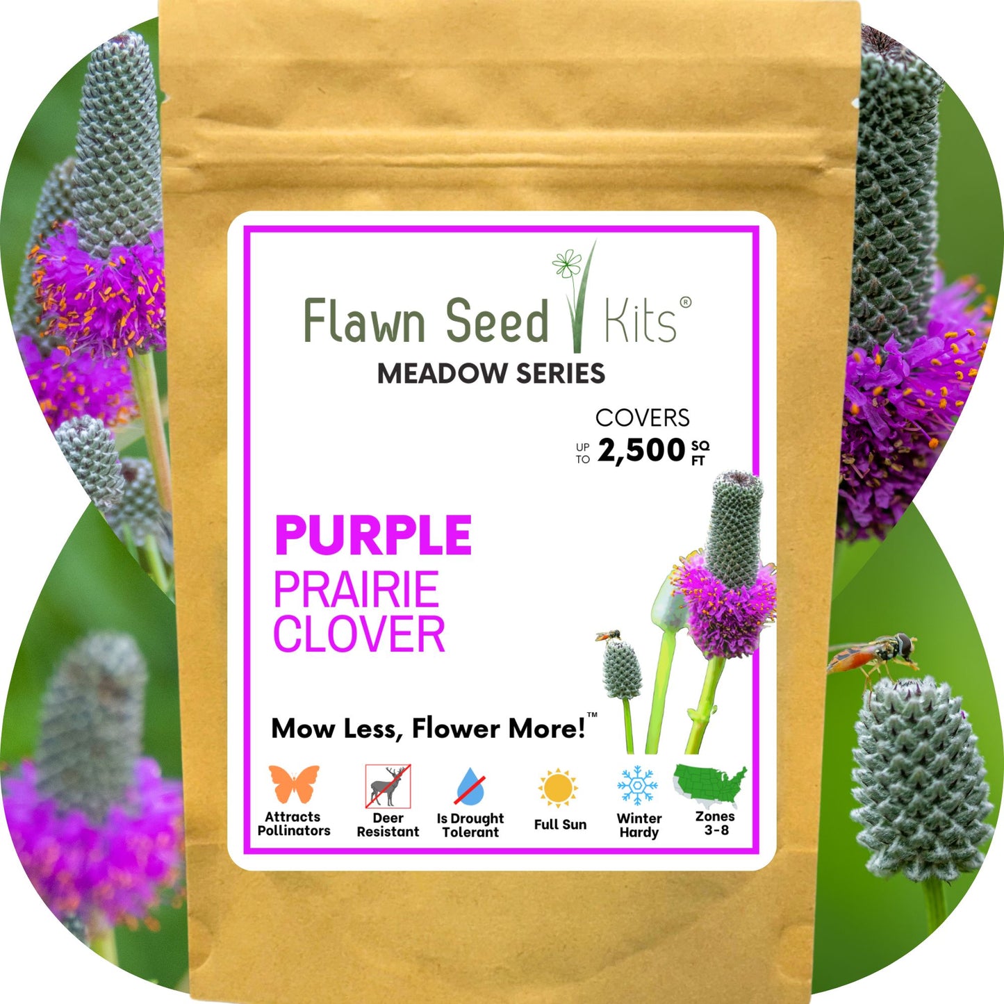 Purple Prairie Clover Seed