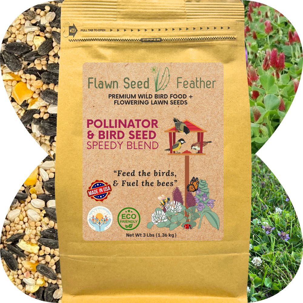 seeds for garden birds Pollinator & Wild Bird Seed Speedy Blend 3 lb Bag