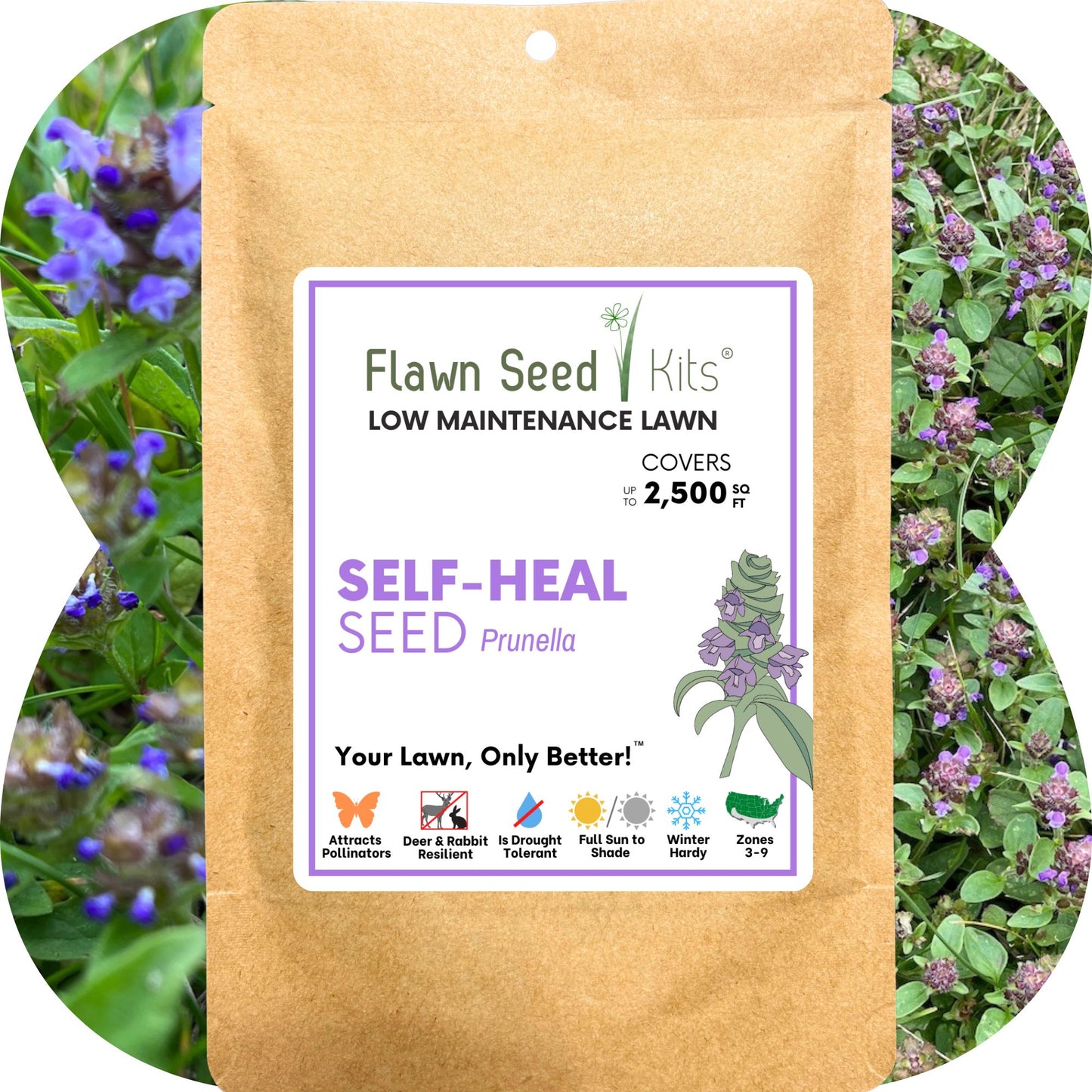 Self-Heal Seed Pouch