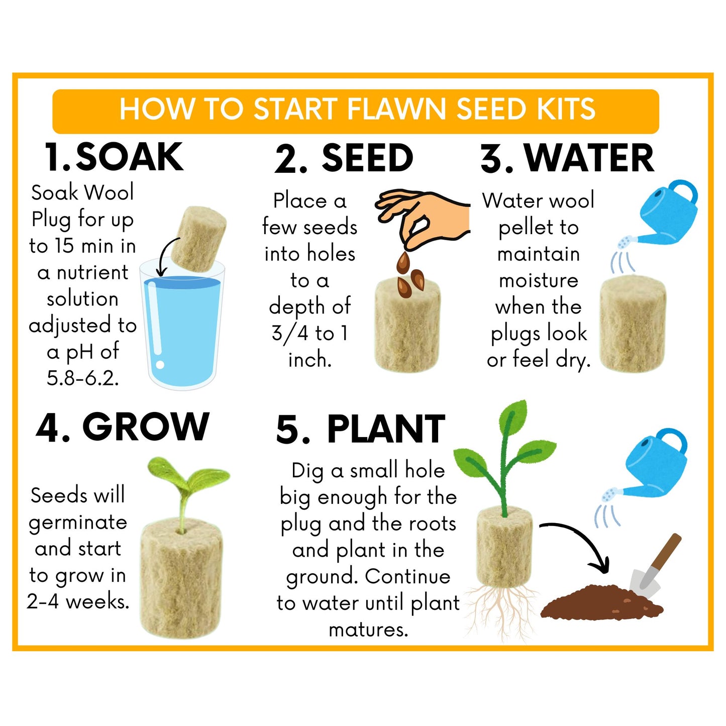 Flowering Spring Seed Mix - Egg Carton Seed Starting Kit