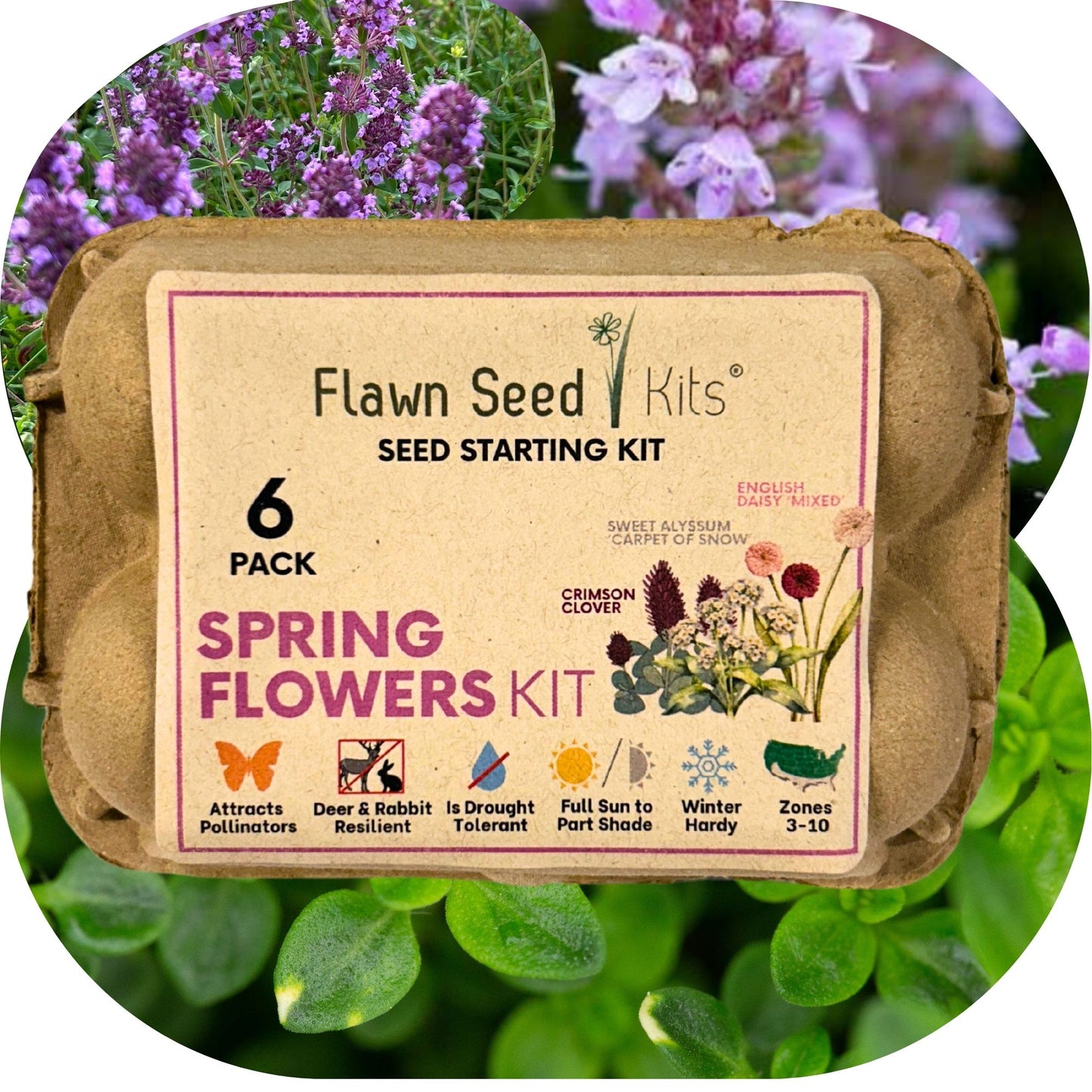 Flowering Spring Seed Mix - Egg Carton Seed Starting Kit