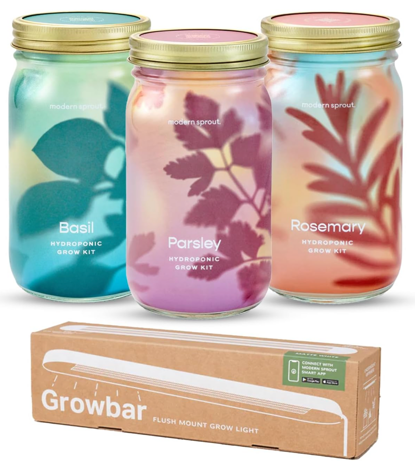 Garden Jars - Organic Herbs