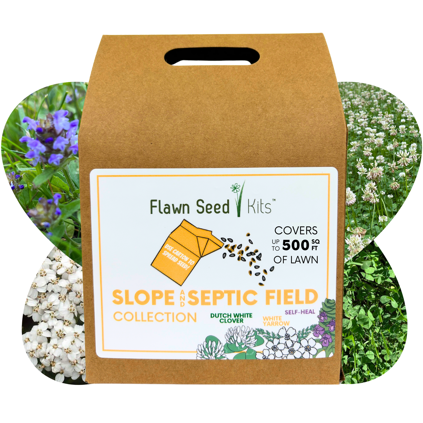 Slope and Septic System Seed Kit