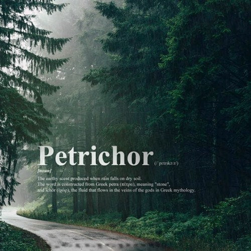 Petrichor - /ˈpetrīˌkôr/ - The Smell of Rain - ROOM & LINEN SPRAY -- by Moon Water Apothecary!
