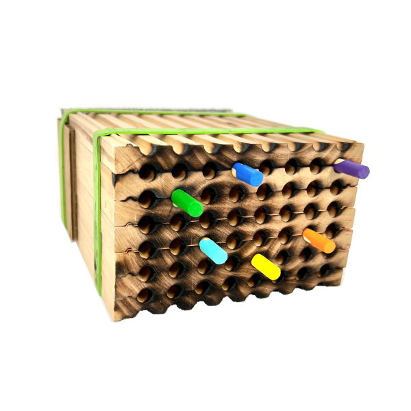 Bee Wayfinders - Mason Bees