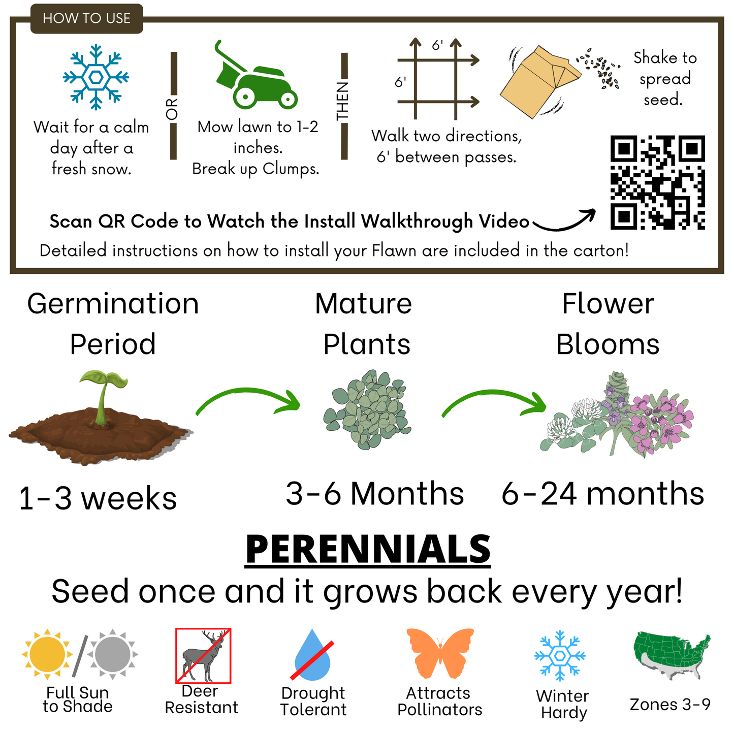Easy Grow Micro Bee Lawn Eco-Friendly Kit