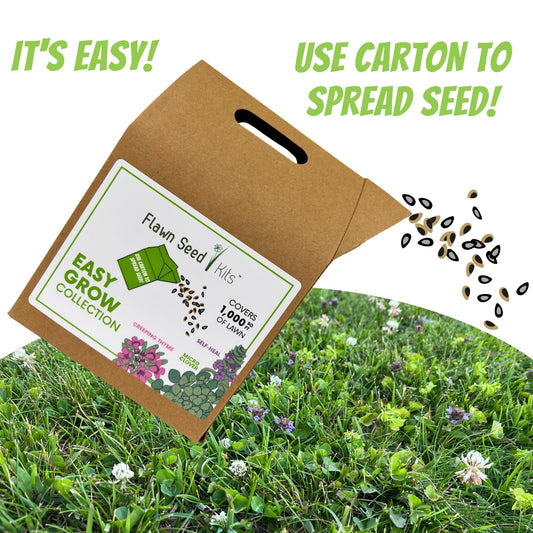 Easy Grow Micro Bee Lawn Eco-Friendly Kit