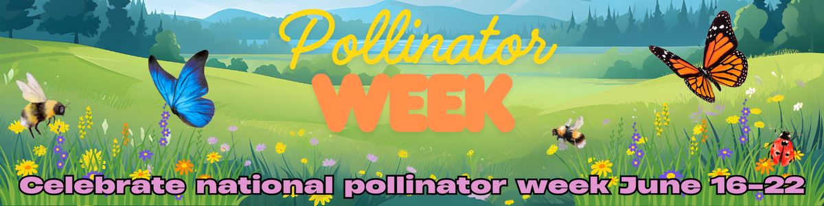 Pollinator Week Email National Pollinator Week June 16-22 2025 β Flawn Seed Kits