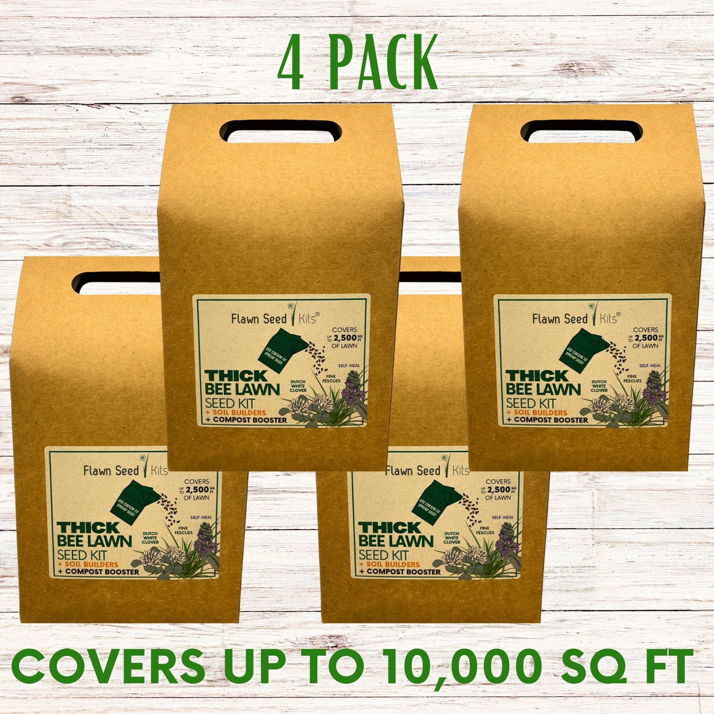 Thick Bee Lawn Seed Kit Eco-Spread Carton