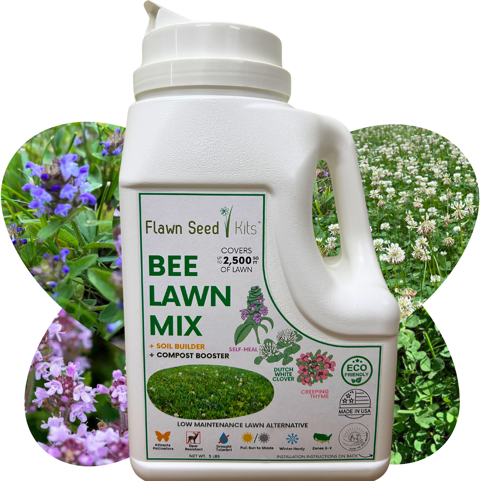 Bee Lawn Flowering Pollinator Seed Kit, Dutch White Clover Blooms, Self-Heal Blooms, Creeping Thyme Blooms, Easy Spread Container