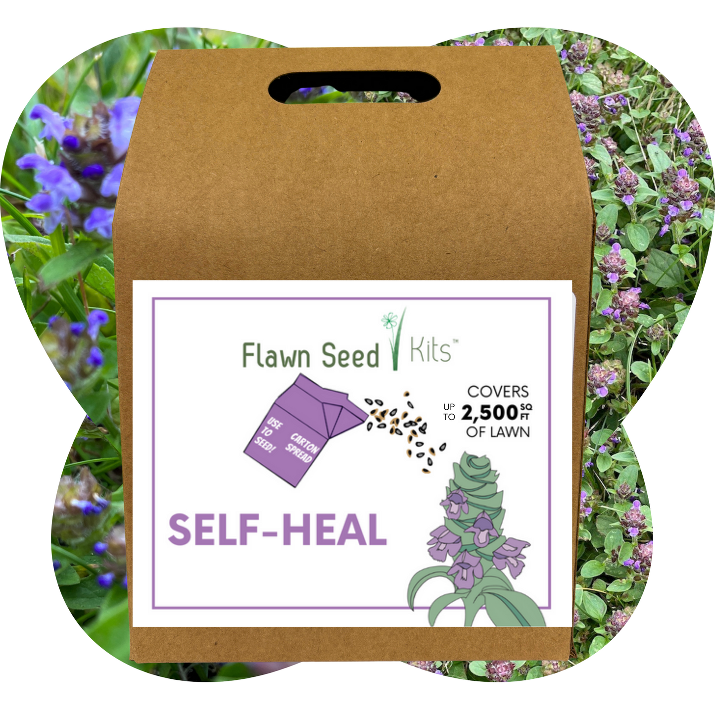 Self-Heal "Heal-All" Eco-Friendly Seeding Kit (Limited Time)