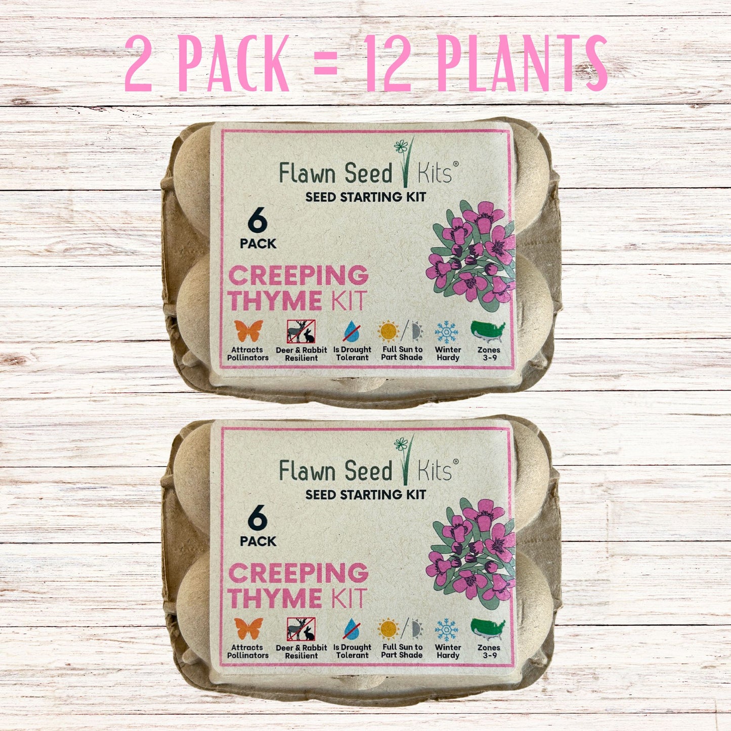 Creeping Thyme Egg Carton Seed Starting Kit