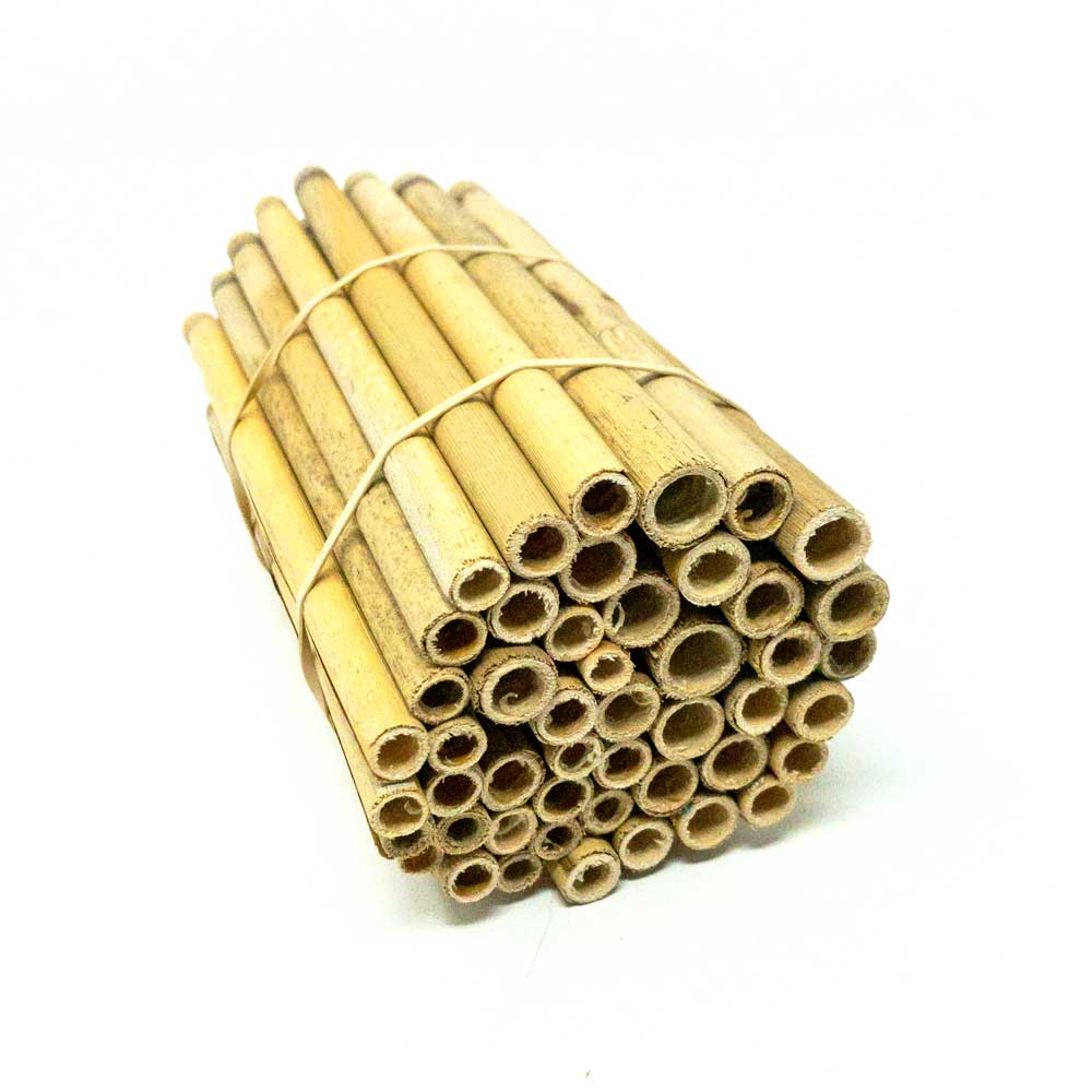 Spring Natural Reeds for Mason Bees - 8mm