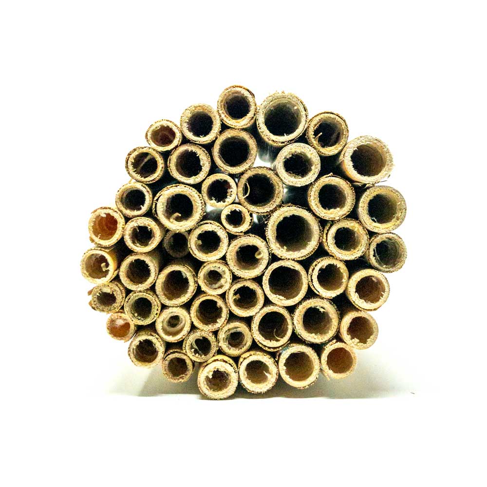 Spring Natural Reeds for Mason Bees - 8mm