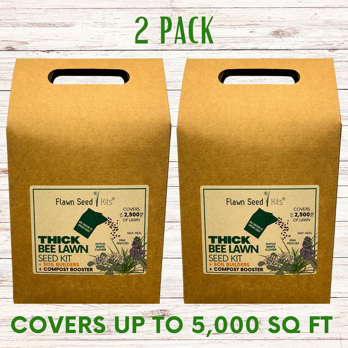 Thick Bee Lawn Seed Kit Eco-Spread Carton