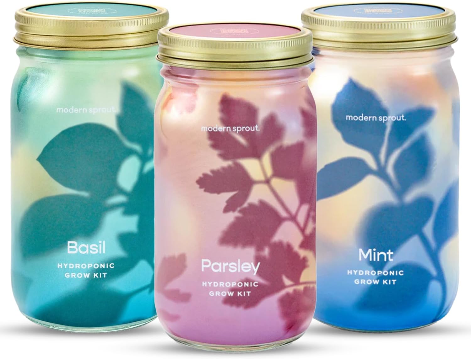 Garden Jars - Organic Herbs – Flawn Seed Kits
