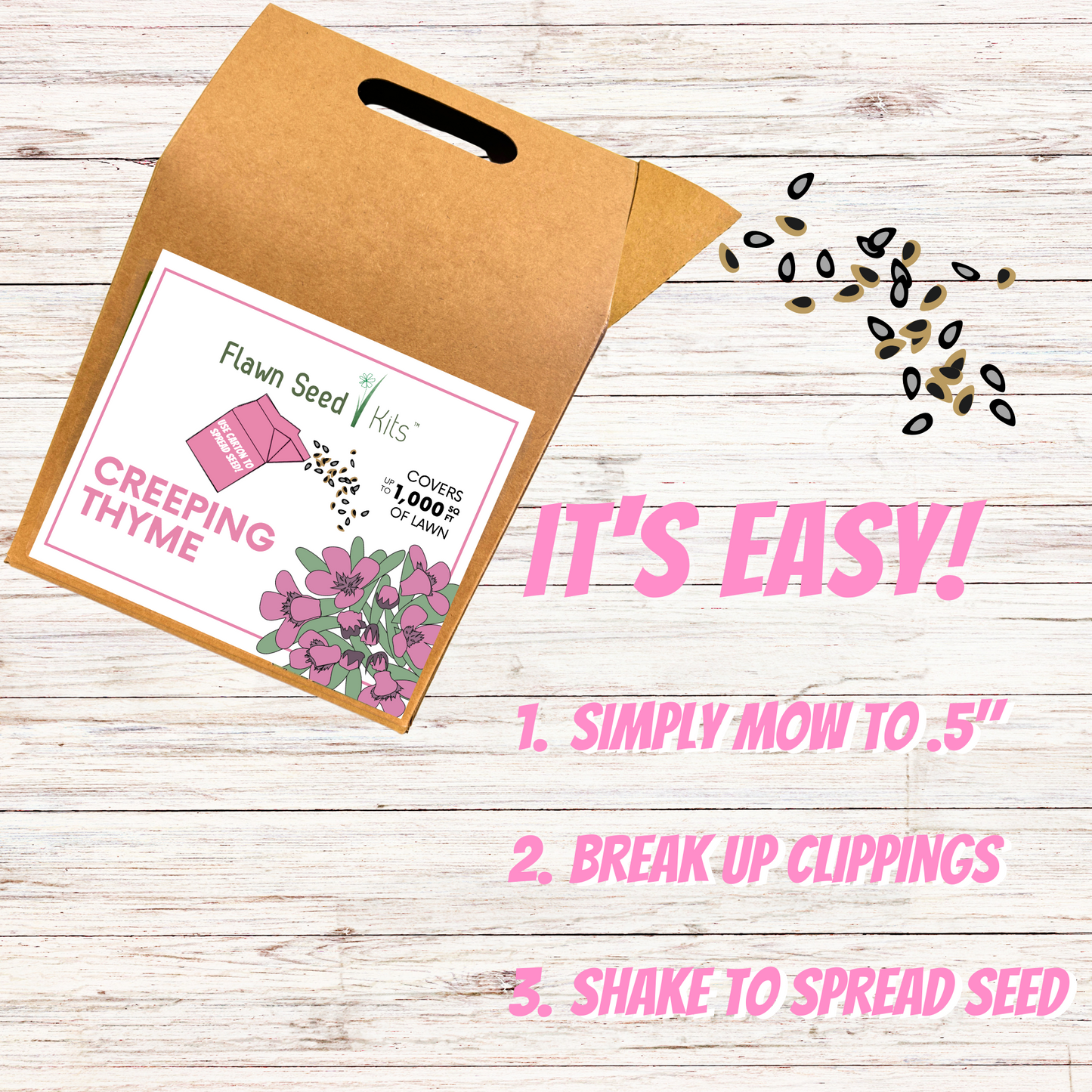 Creeping Thyme Eco-Friendly Seeding Kit