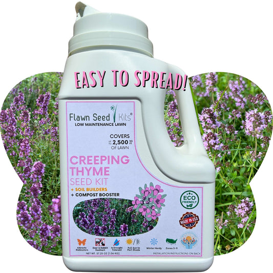 Creeping Thyme Easy Spread Shaker