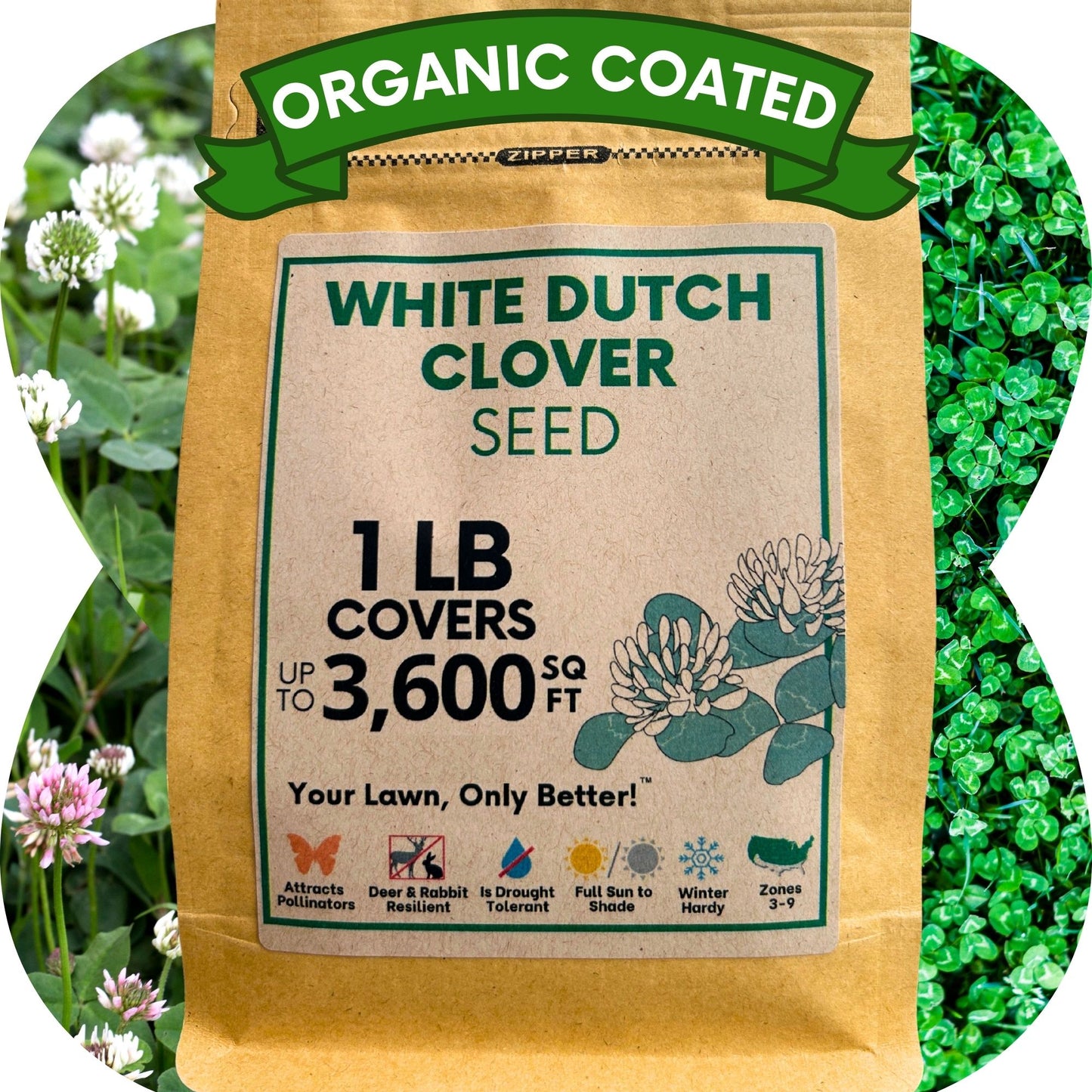 Dutch White Clover Seed