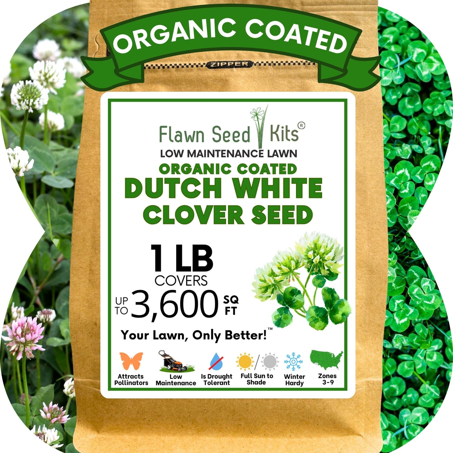 Dutch White Clover Seed