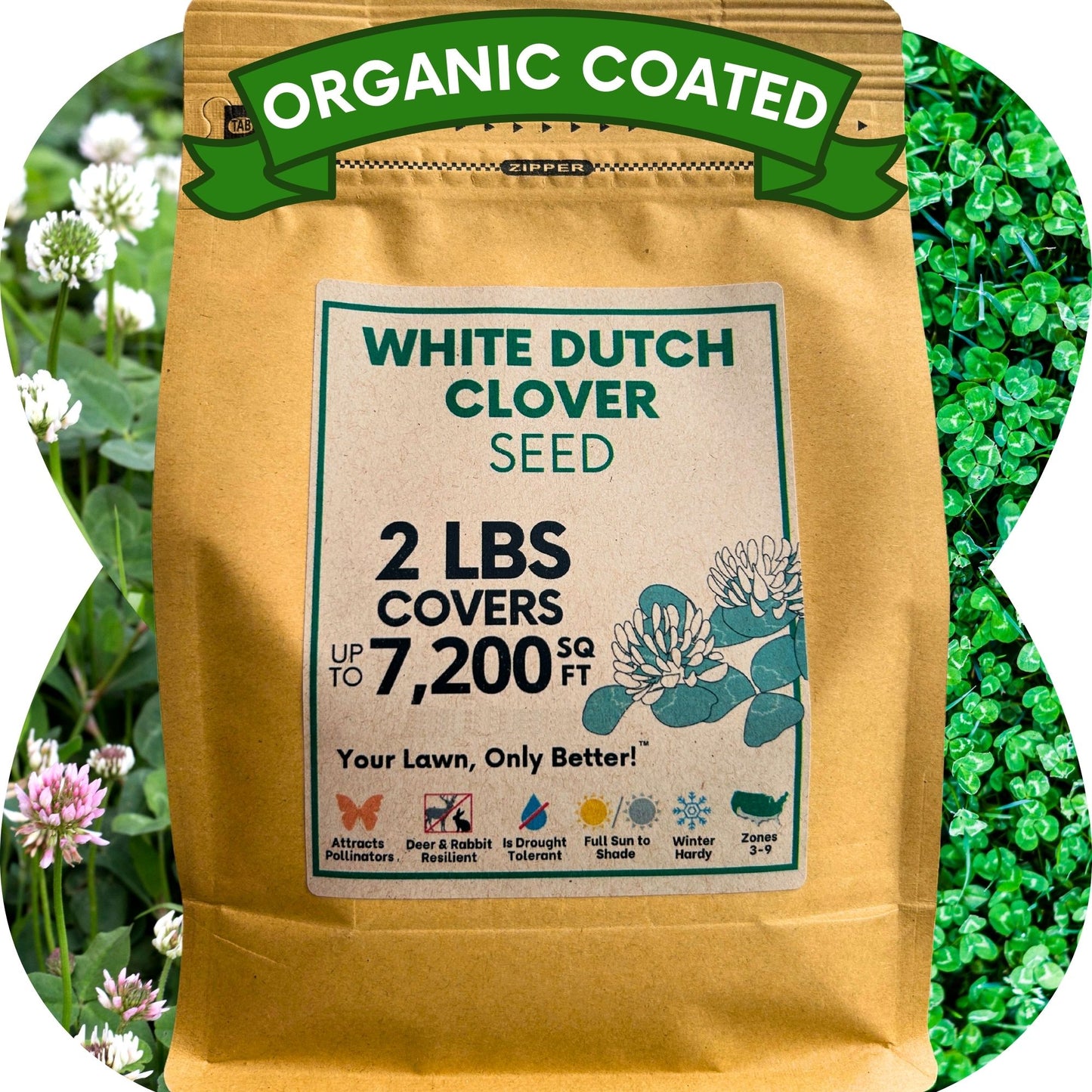 Dutch White Clover Seed