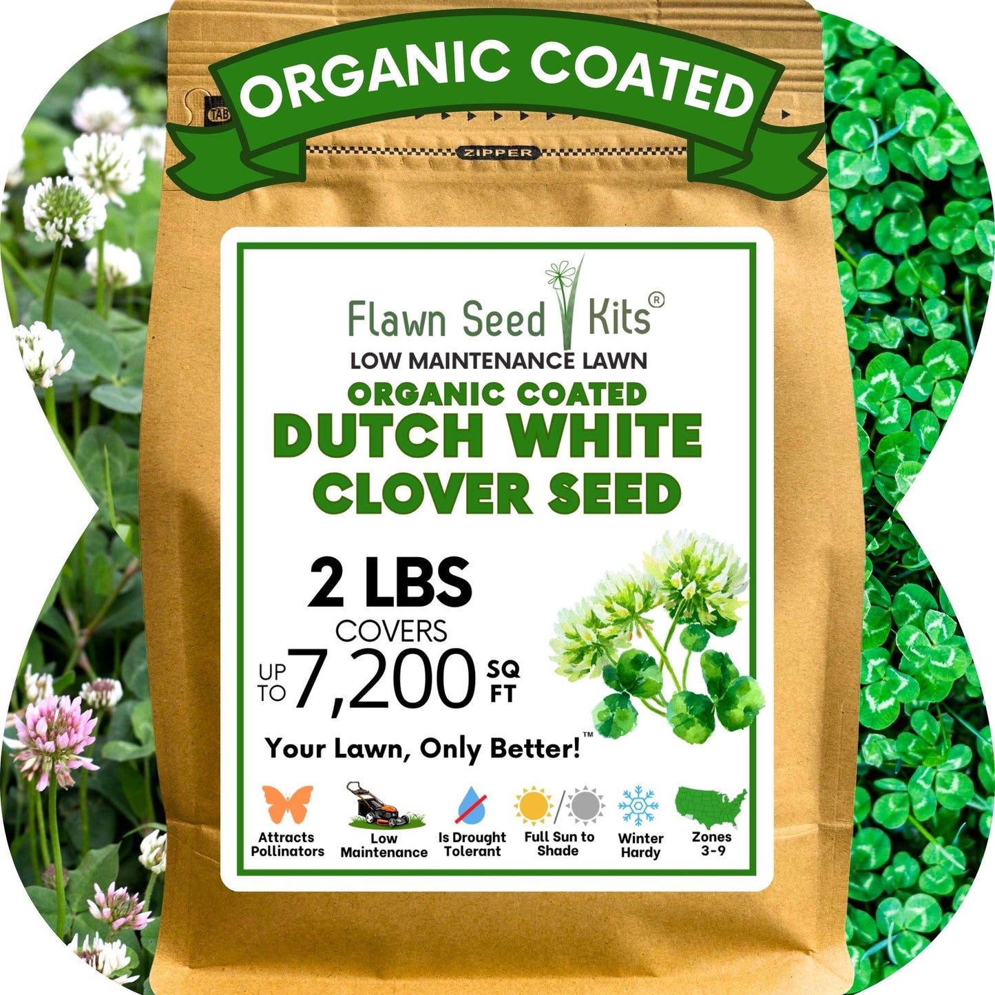 Dutch White Clover Seed