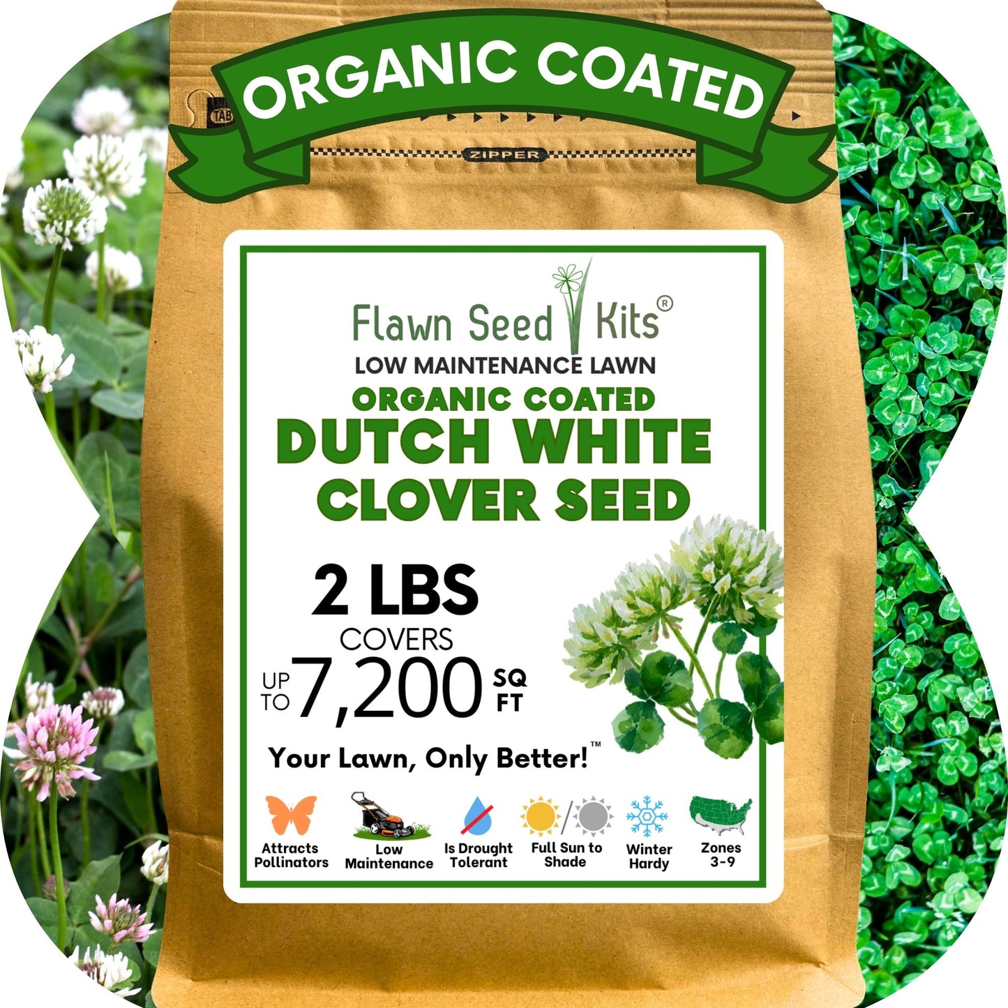 Dutch White Clover Seed