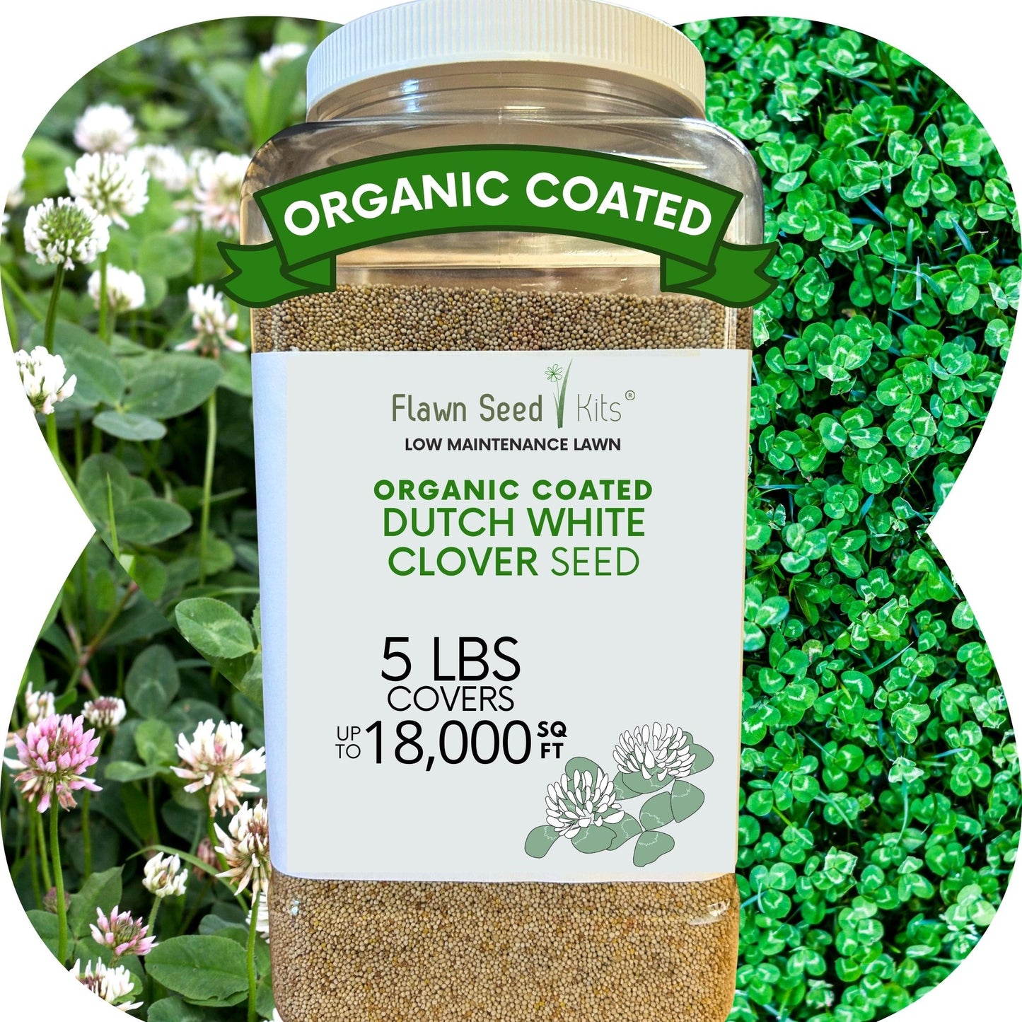 Dutch White Clover Seed