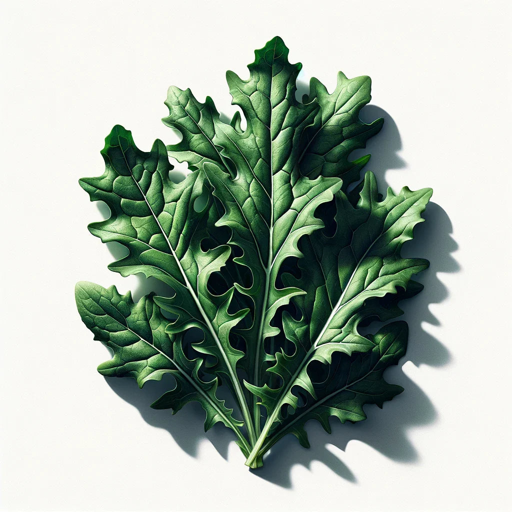 Arugula (Astro) (4x)