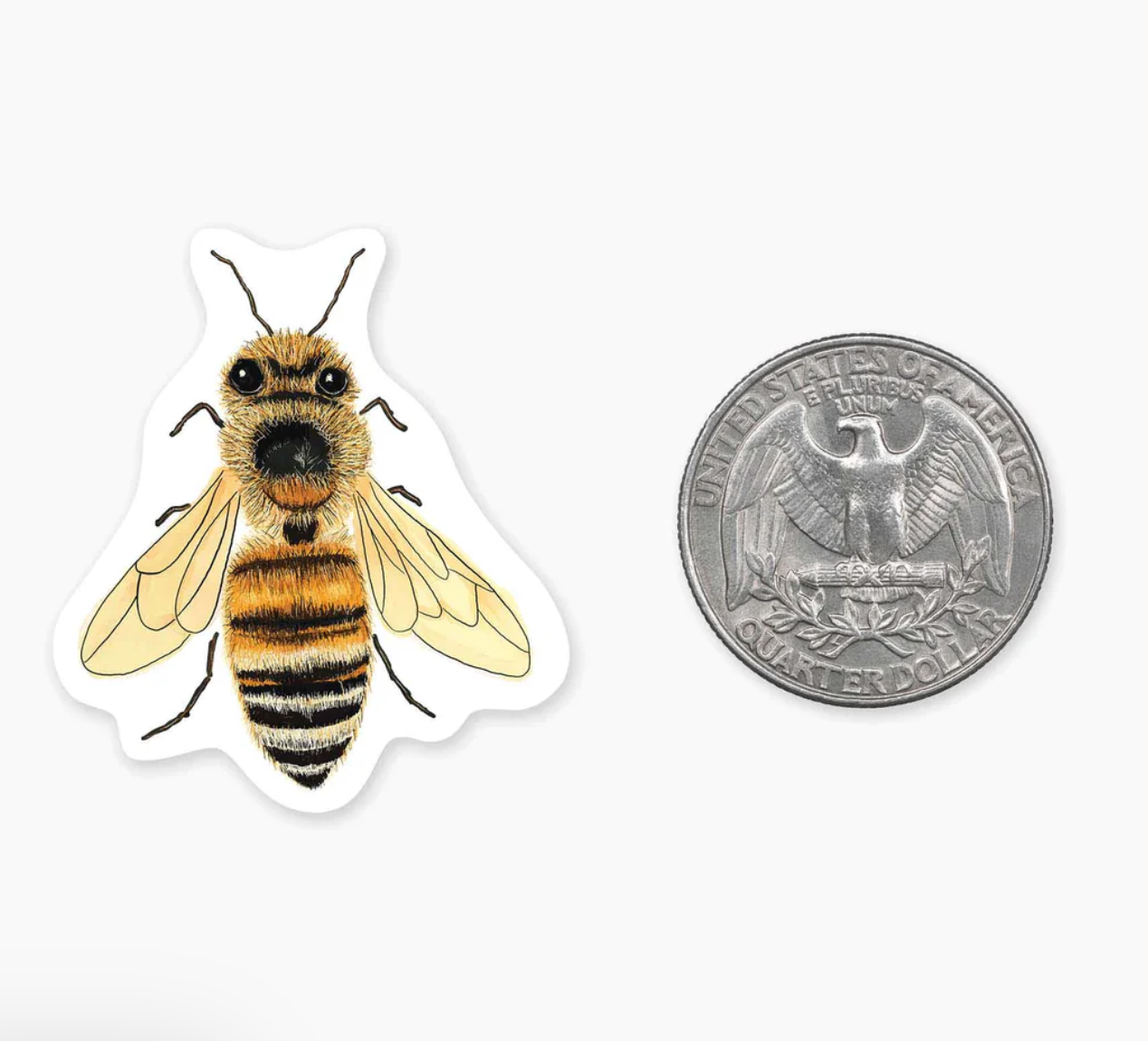 Bee 1.5" Mini Sticker (TWO LEFT!)