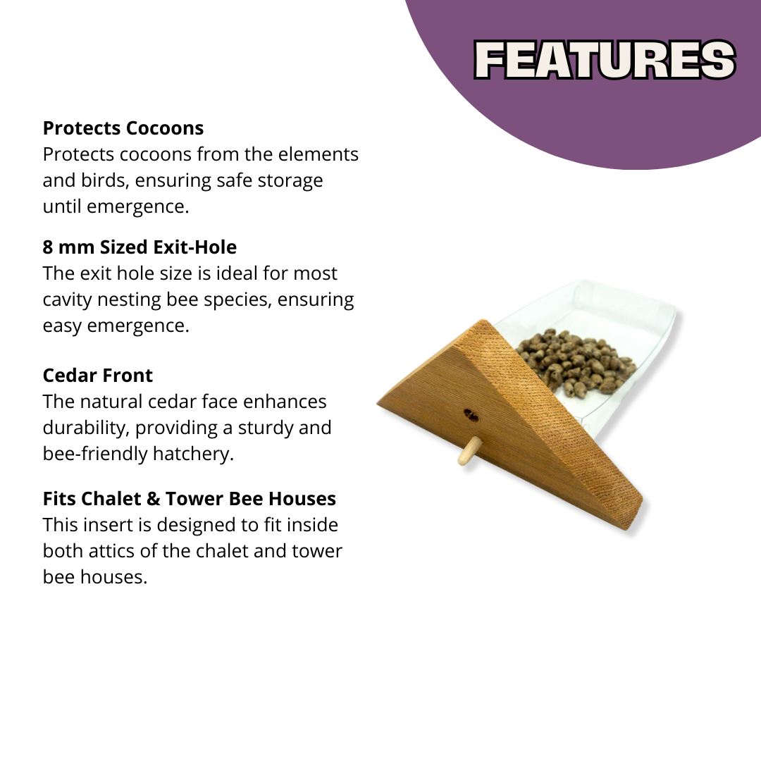 Cabana Bee House & Complete Kit with Bee Certificate