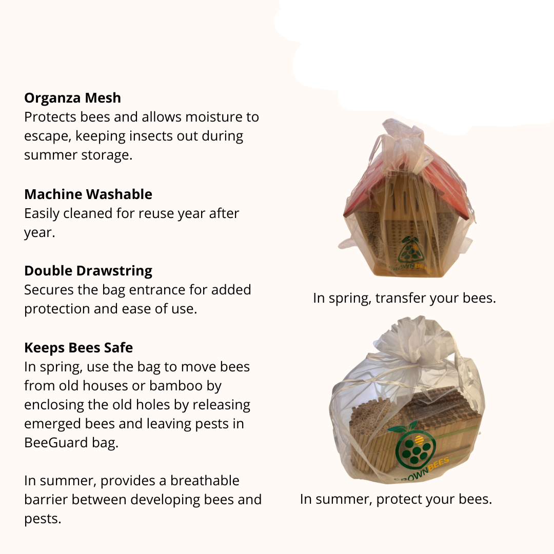 Cabana Bee House & Complete Kit with Bee Certificate
