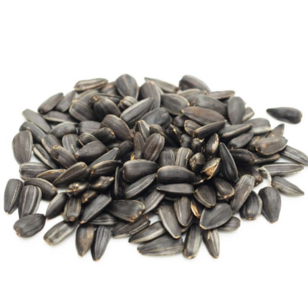 Premium Black Oil Sunflower Wild Bird Seed