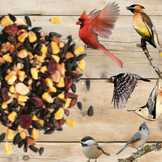 Premium Bring Nature Home Bird Seed Blend