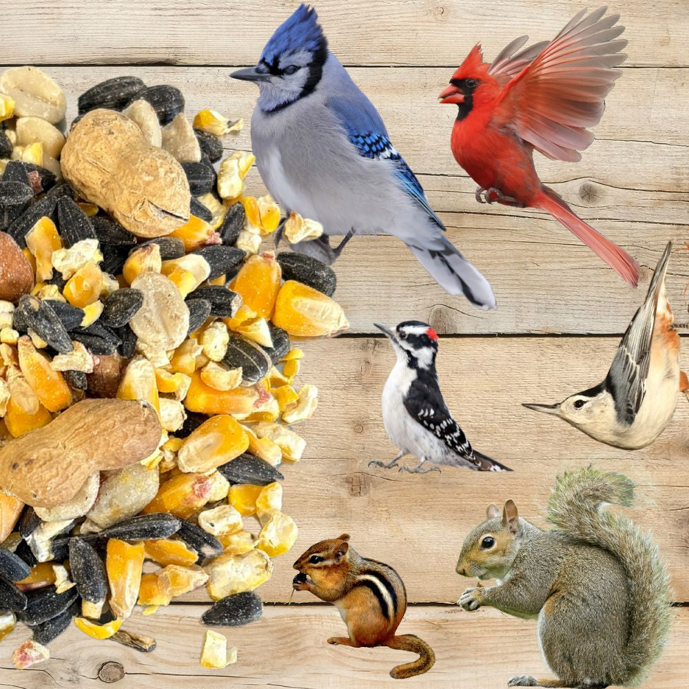 Bring Nature Home Premium Wild Bird and Friends Seed Blend